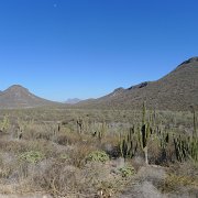 Baja2011 799 : Baja2011